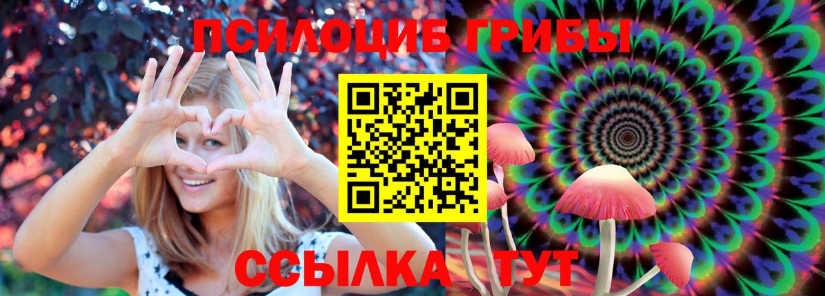 Ефремов  Псилоцибиновые грибы ЛСД  Псилоцибиновые грибы Cubensis  Вход с VPN 